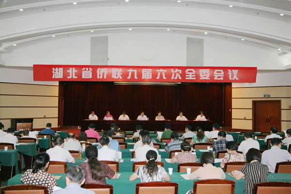 陈义红出席湖北省侨联九届六次全委会议